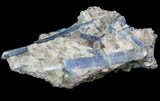 Vibrant Blue Kyanite Crystals In Quartz - Brazil #80378-1